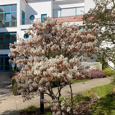 Apartment Strandstrasse-ostseestern 12 Kuehlungsborn